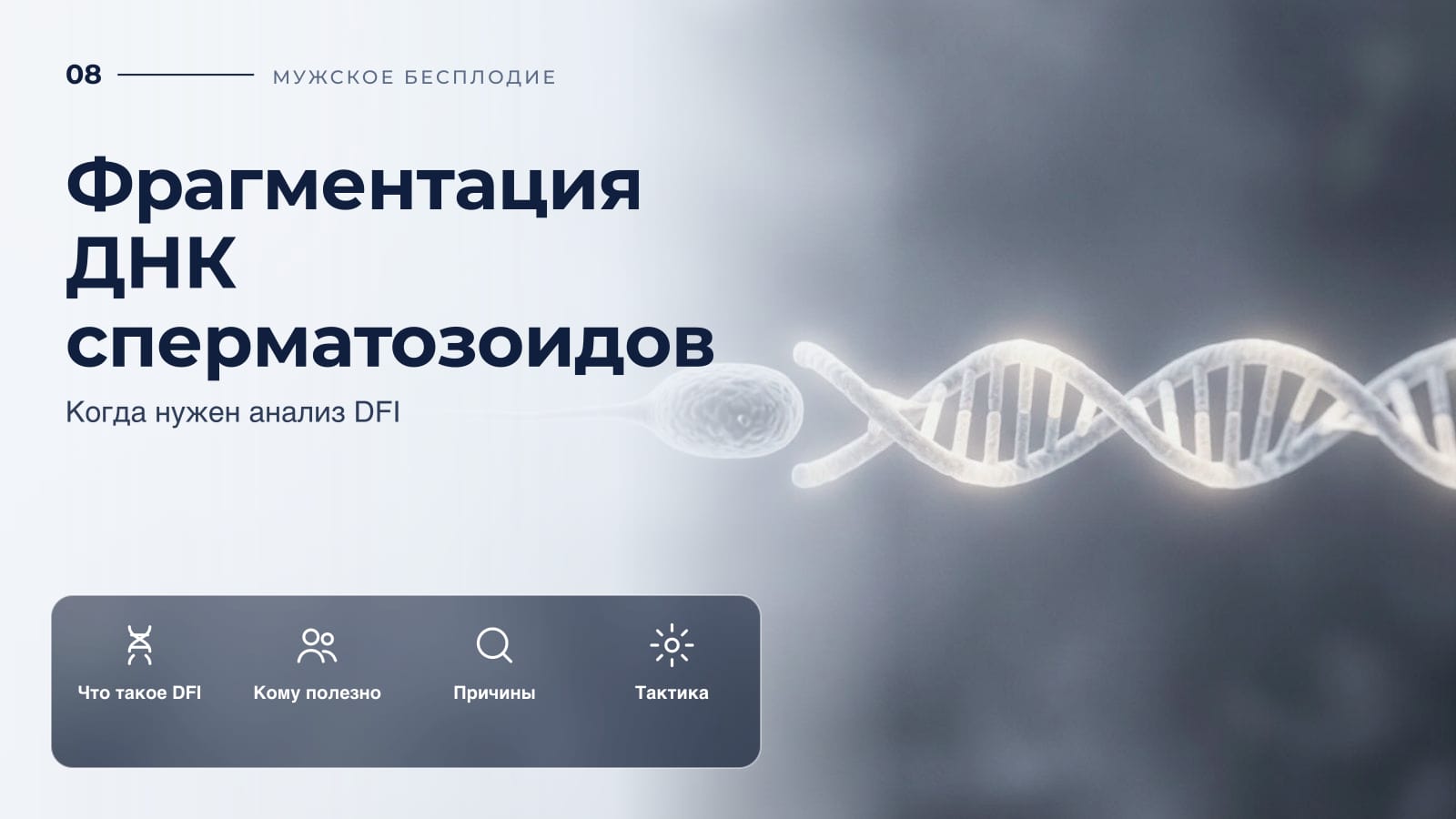 Фрагментация ДНК сперматозоидов: когда нужен анализ DFI