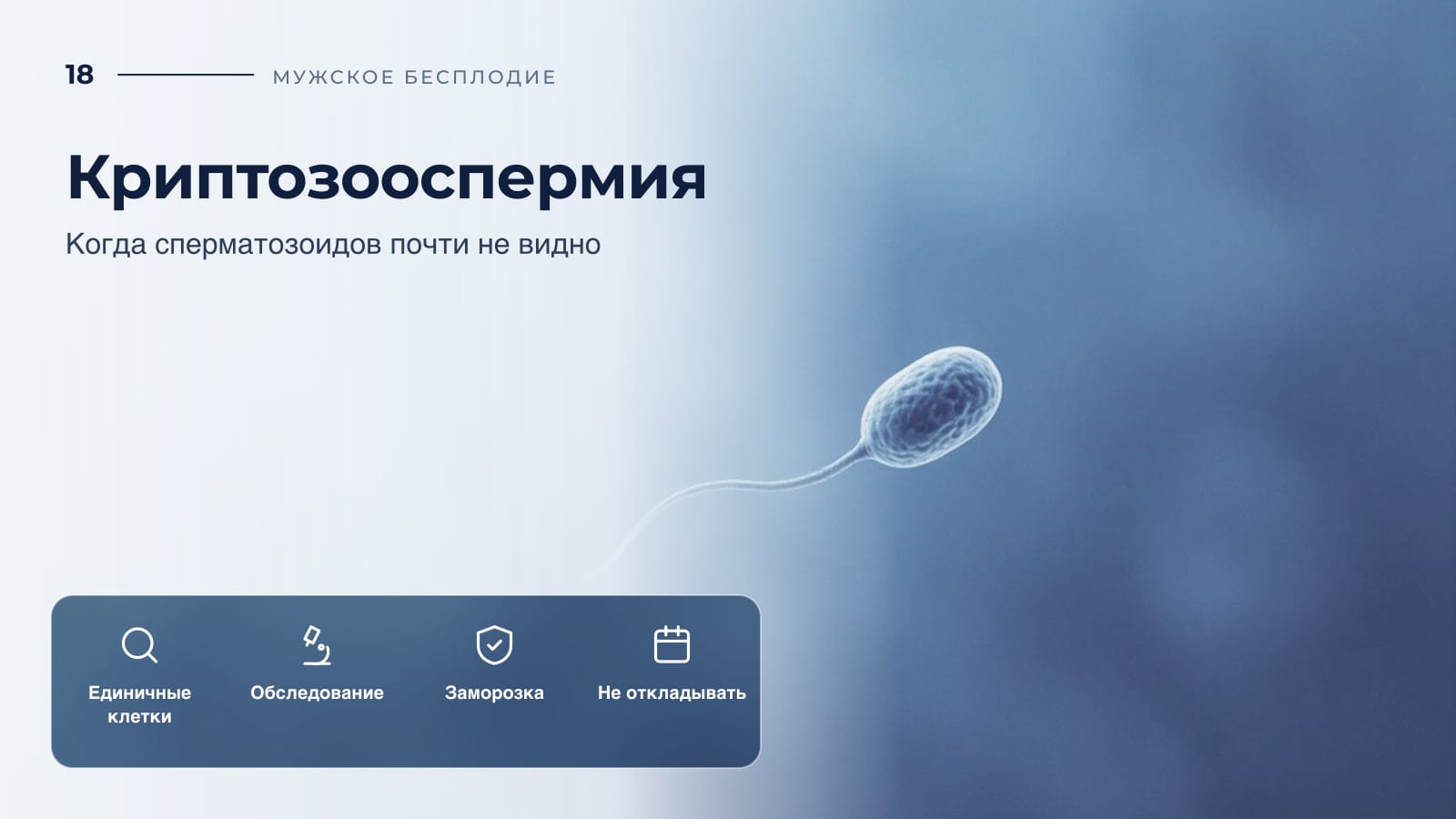 Криптозооспермия: когда сперматозоидов почти не видно