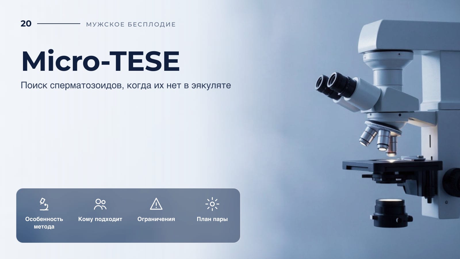 Micro-TESE: поиск сперматозоидов, когда их нет в эякуляте