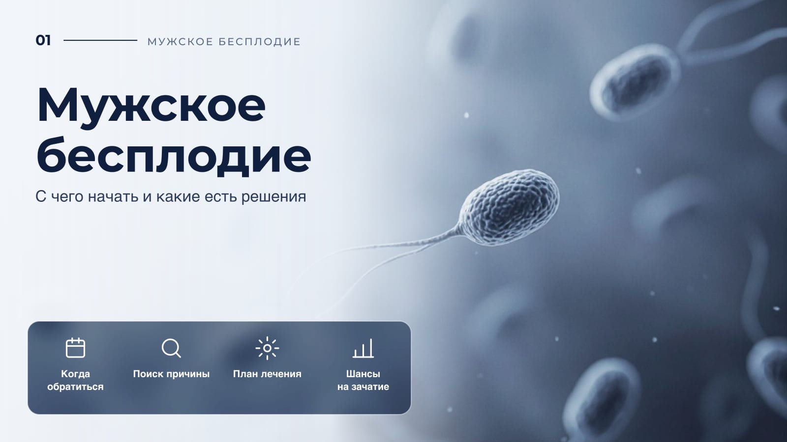 Мужское бесплодие: с чего начать и какие есть решения