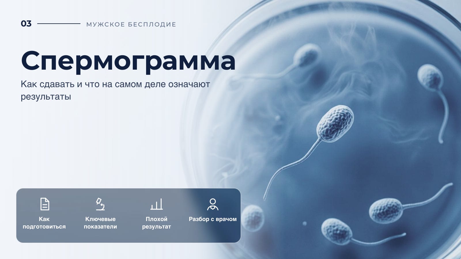 Спермограмма: как сдавать и что на самом деле означают результаты