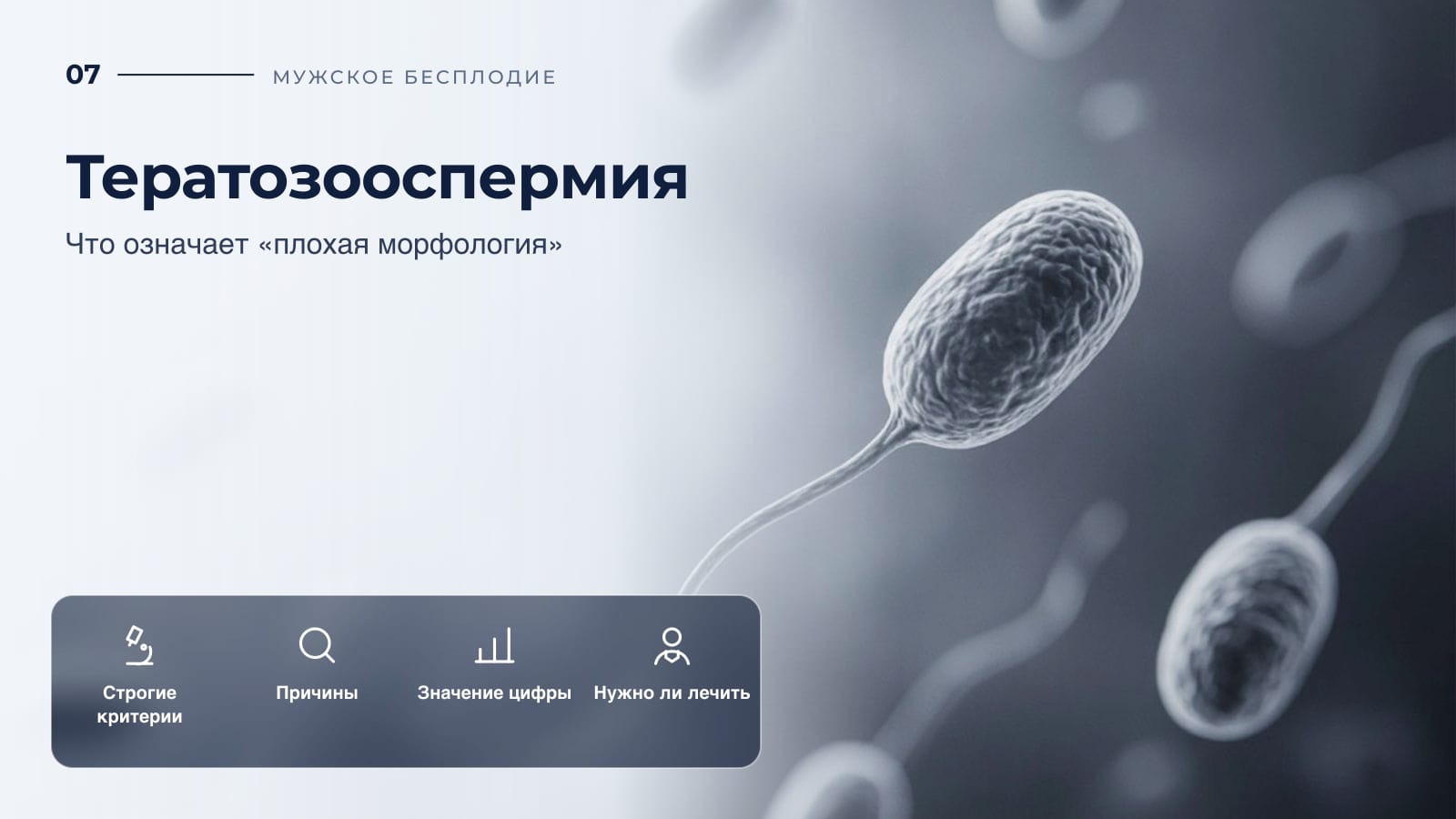 Тератозооспермия: что означает «плохая морфология»